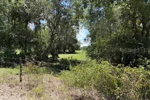 10362 SE Mehl Ave SE, Arcadia, FL 34266 - Photo 1