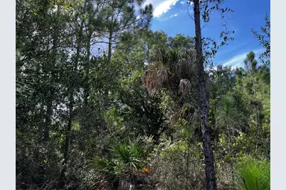 50204 Bermont Road, Punta Gorda, FL 33982 - Photo 45