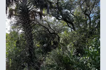 50204 Bermont Road, Punta Gorda, FL 33982 - Photo 17