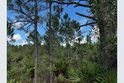 50204 Bermont Road, Punta Gorda, FL 33982 - Photo 39