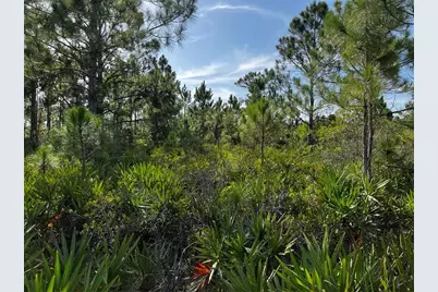 50204 Bermont Road, Punta Gorda, FL 33982 - Photo 33