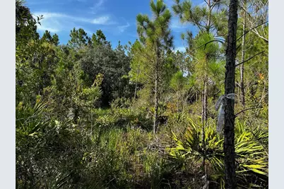 50204 Bermont Road, Punta Gorda, FL 33982 - Photo 49