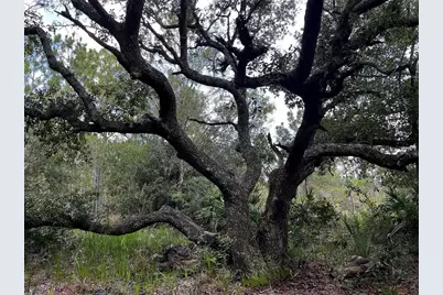 50204 Bermont Road, Punta Gorda, FL 33982 - Photo 13