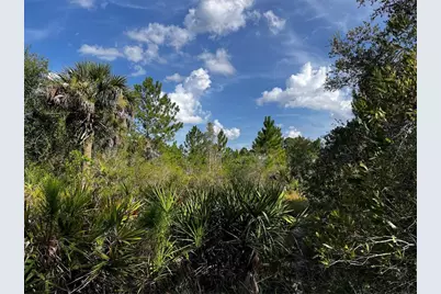 50204 Bermont Road, Punta Gorda, FL 33982 - Photo 43