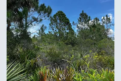 50204 Bermont Road, Punta Gorda, FL 33982 - Photo 41