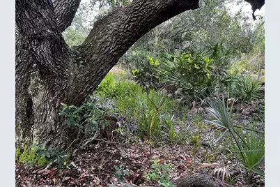 50204 Bermont Road, Punta Gorda, FL 33982 - Photo 21