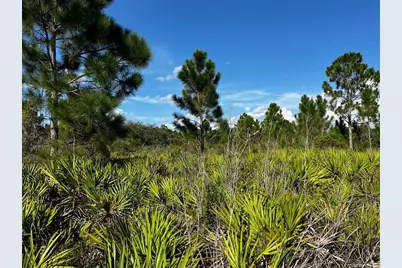 50204 Bermont Road, Punta Gorda, FL 33982 - Photo 25
