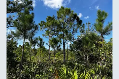 50204 Bermont Road, Punta Gorda, FL 33982 - Photo 27