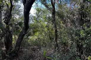 50204 Bermont Rd, Punta Gorda, FL 33982 - Photo 1