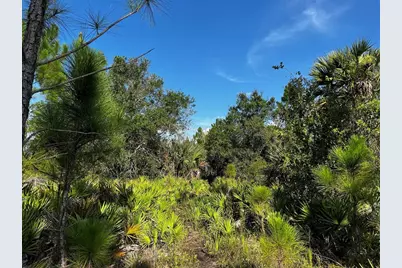 50204 Bermont Road, Punta Gorda, FL 33982 - Photo 29