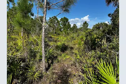 50204 Bermont Road, Punta Gorda, FL 33982 - Photo 31