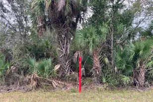 4363 Schneider St, Port Charlotte, FL 33981 - Photo 1