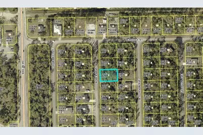 2118 Robert Avenue, Alva, FL 33920 - Photo 3