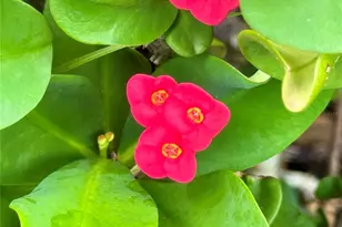 580 Fairmount Dr, North Port, FL 34287 - Photo 41