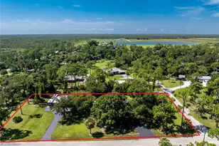 29493 Clark Dr, Punta Gorda, FL 33982 - Photo 61