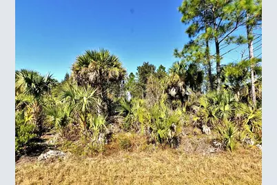 Fiveleaf Road, North Port, FL 34288 - Photo 1