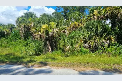 Raven Lot #5 Street, North Port, FL 34286 - Photo 3