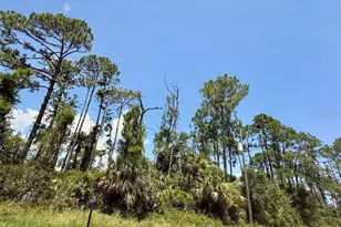 Lot 2 Titan St, North Port, FL 34286 - Photo 1