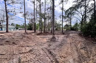 27240 Tribune Blvd, Punta Gorda, FL 33955 - Photo 27