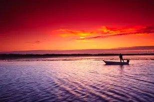 26485 Rampart Blvd, Punta Gorda, FL 33983 - Photo 33