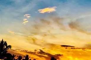 26485 Rampart Blvd, Punta Gorda, FL 33983 - Photo 27