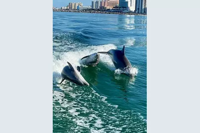 26485 Rampart Boulevard #D21, Punta Gorda, FL 33983 - Photo 21