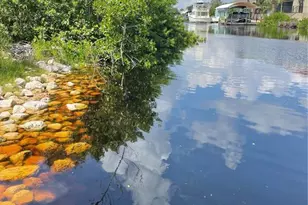 18286 Van Nuys Cir, Port Charlotte, FL 33948 - Photo 1