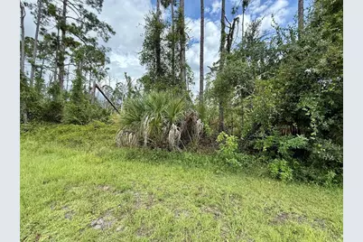 Dragonfly Ave, North Port, FL 34288 - Photo 5