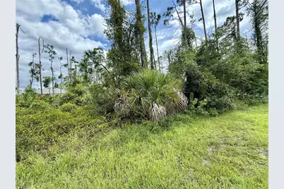 Dragonfly Ave, North Port, FL 34288 - Photo 3