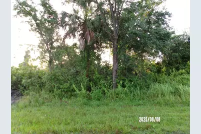3162 Milan Street, Port Charlotte, FL 33981 - Photo 1