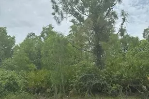 12143 Pontoon Blvd, Punta Gorda, FL 33955 - Photo 1