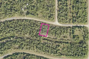 Largeleaf St, North Port, FL 34288 - Photo 1