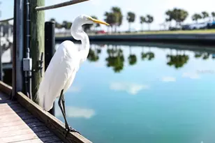 23438 Elmira Blvd, Punta Gorda, FL 33980 - Photo 47