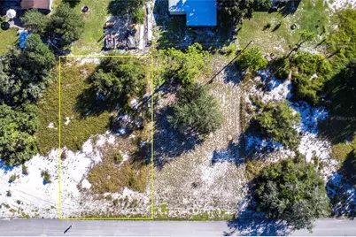 917 Hollyhock Court, Lake Placid, FL 33852 - Photo 5