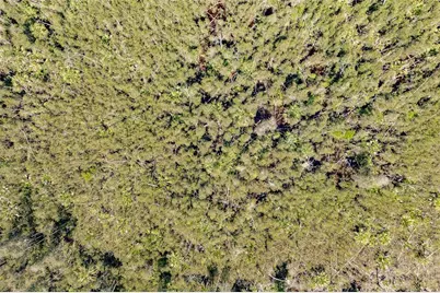 Unassigned, Naples, FL 34114 - Photo 9