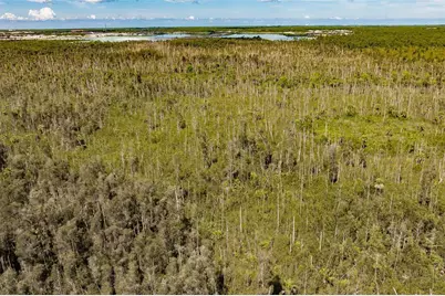 Unassigned, Naples, FL 34114 - Photo 11