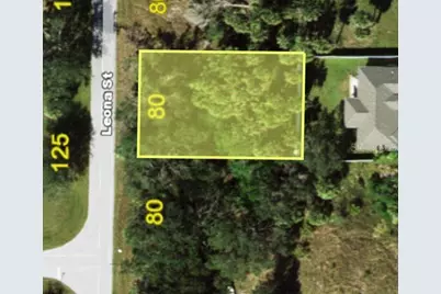 318 Leona Street, Port Charlotte, FL 33954 - Photo 5