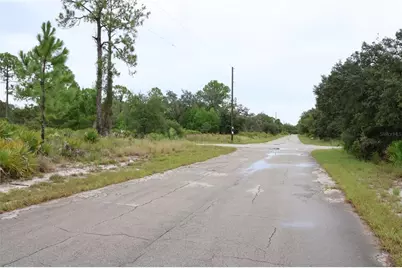 3335 Gerber Avenue, Lake Placid, FL 33852 - Photo 3