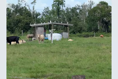 1291 NE Hansel Avenue, Arcadia, FL 34266 - Photo 41