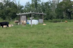 1291 NE Hansel Ave, Arcadia, FL 34266 - Photo 41