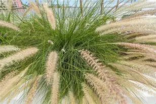 888 Boulevard of the Arts, Sarasota, FL 34236 - Photo 35