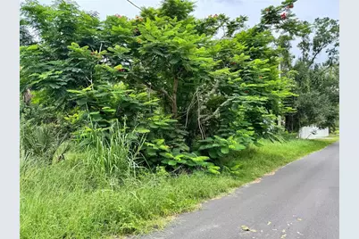 4466 Ganyard Street, Punta Gorda, FL 33980 - Photo 3