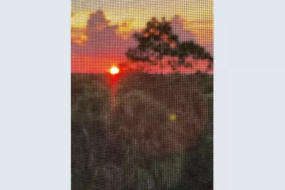 14161 Heritage Landing Boulevard #1131, Punta Gorda, FL 33955 - Photo 41