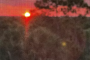 14161 Heritage Landing Blvd, Punta Gorda, FL 33955 - Photo 41