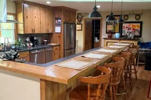 503 Bear Road Rd, Lake Placid, FL 33852 - Photo 13