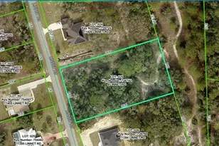 Linnet Rd, Weeki Wachee, FL 34614 - Photo 1