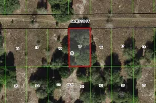 2403 Jackson St, Inverness, FL 34453 - Photo 1