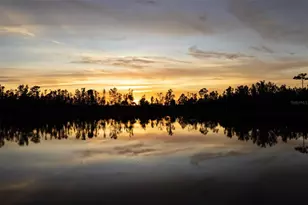 14251 Heritage Landing Blvd, Punta Gorda, FL 33955 - Photo 3