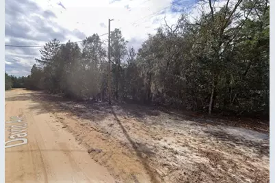 917 David Avenue, Interlachen, FL 32148 - Photo 5