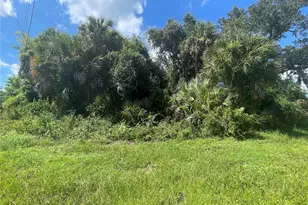 Snyder (Lot 6 Block 1019) St, North Port, FL 34288 - Photo 19